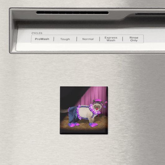 Niedlich Clown Kitty Magnet (In Situ (Geschirrspüler))