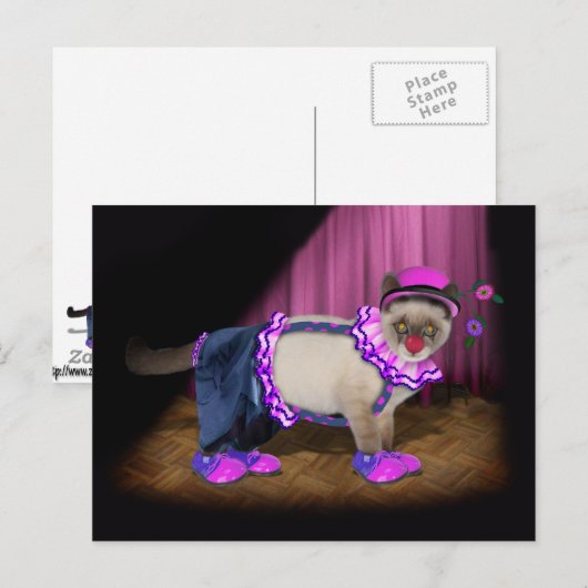Niedlich Clown Kitty Postkarte (Vorne/Hinten)