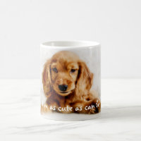Niedlich Cocker Spaniel Hunde Tasse/Cup