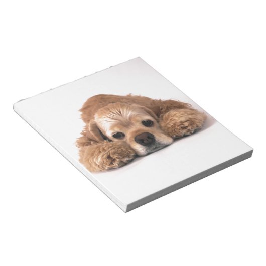 Niedlich Cocker Spaniel Notizblock (angewinkelt)