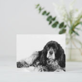 Niedlich Cocker Spaniel Postkarte (Stehend Vorderseite)
