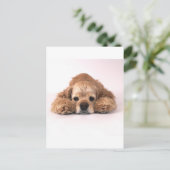 Niedlich Cocker Spaniel Postkarte (Stehend Vorderseite)