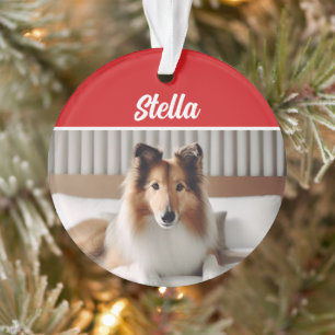 Niedlich Collie Dog Holiday Weihnachts-Foto Ornament