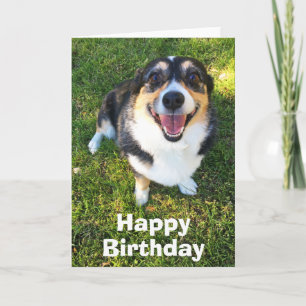 Niedlich Corgi Birthday Karte