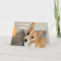 Niedlich Corgi Foto Funny Dog Lover Geburtstag