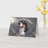 Niedlich Corgi Happy Birthday Karte (Gelbe Blume)