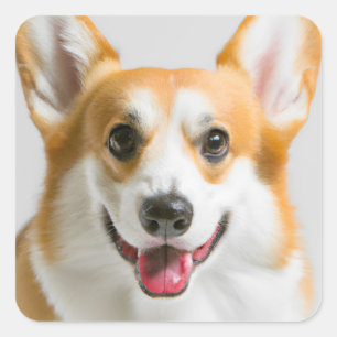 Niedlich Corgi Quadratischer Aufkleber