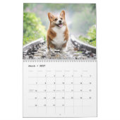Niedlich Corgis! Hund Kalender (Mär 2027)