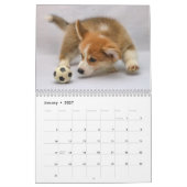 Niedlich Corgis! Hund Kalender (Jan 2027)