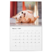 Niedlich Corgis! Hund Kalender (Feb 2027)
