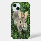 Niedlich Cottontail Bunny Case-Mate iPhone Hülle (Rückseite)