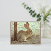 Niedlich Cottontail Bunny Postkarte (Stehend Vorderseite)