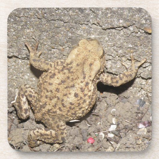 Niedlich Crawling Toad Cork Untersetzer (Vorderseite)