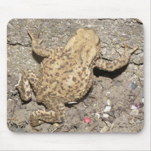 Niedlich Crawling Toad Mousepad