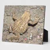 Niedlich Crawling Toad Plaque Fotoplatte (Seite)