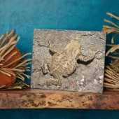 Niedlich Crawling Toad Plaque Fotoplatte (Seite)