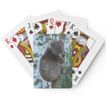 Niedlich Cudly Koala Tree Animal Wildlife Australi