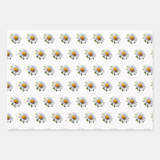 Niedlich Daisy — Power von Blume Geschenkpapier Set (Vorderseite 2)