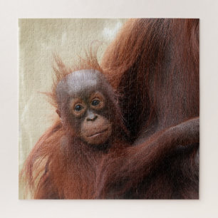 Niedlich - Das Adorable Baby Orangutan Puzzle