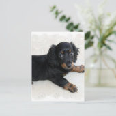 Niedlich Daschund Postcard Postkarte (Stehend Vorderseite)