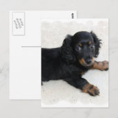 Niedlich Daschund Postcard Postkarte (Vorne/Hinten)