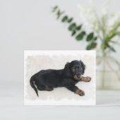 Niedlich Daschund Postcard Postkarte (Stehend Vorderseite)