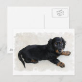 Niedlich Daschund Postcard Postkarte (Vorne/Hinten)