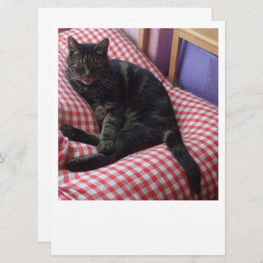 Niedlich Dave Einladung (Vorne/Hinten)