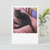 Niedlich Dave Flat Ankündigung (Stehend Vorderseite)