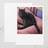 Niedlich Dave Flat Ankündigung (Vorne/Hinten)