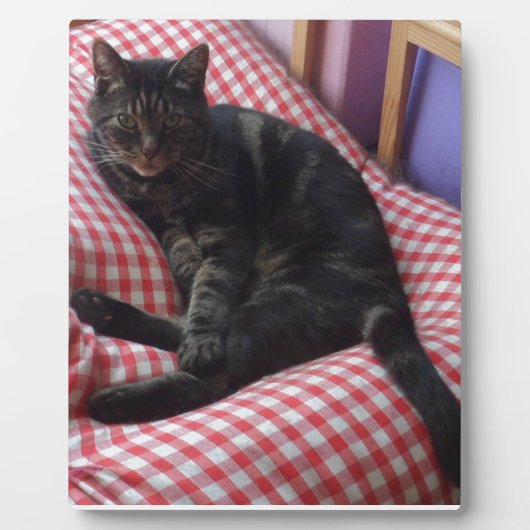 Niedlich Dave Fotoplatte (Vorderseite)