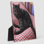 Niedlich Dave Fotoplatte (Seite)