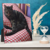 Niedlich Dave Fotoplatte (Seite)