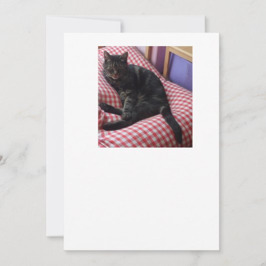 Niedlich Dave Invite Einladung (Vorderseite)