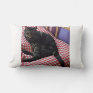 Niedlich Dave Lumbar Pillow Lendenkissen