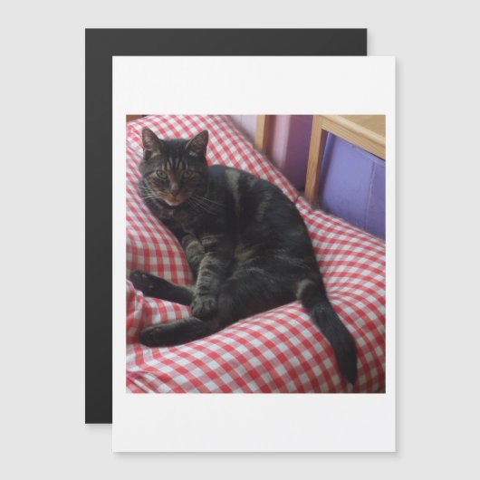 Niedlich Dave Magneteinladung (Vorne/Hinten)