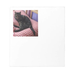 Niedlich Dave Notizblock