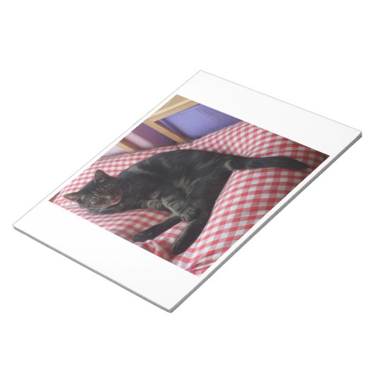 Niedlich Dave Notizblock (angewinkelt)