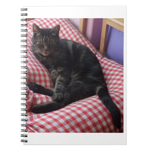 Niedlich Dave Spiral Notebook Notizblock (Vorderseite)