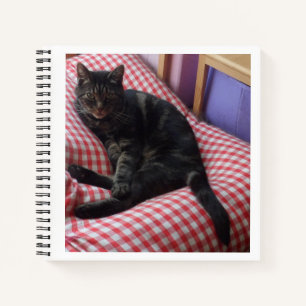 Niedlich Dave Spiral Notebook Notizblock