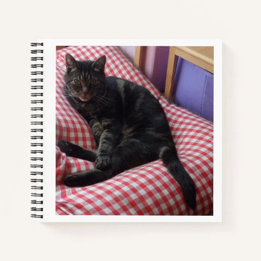 Niedlich Dave Spiral Notebook Notizblock (Vorderseite)