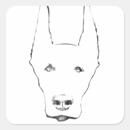 Niedlich Doberman Pinscher Dog Face Sketch Quadratischer Aufkleber (Vorderseite)