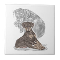 Niedlich Doberman Pinscher Puppy