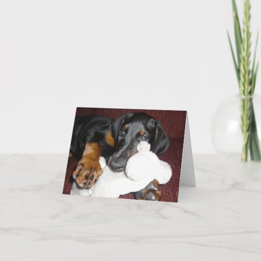 Niedlich Doberman Pinscher Puppy - leere Note Card Karte (Vorderseite)