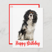 Niedlich Dog Cavalier King Charles Spaniel Birthda Postkarte (Vorne/Hinten)