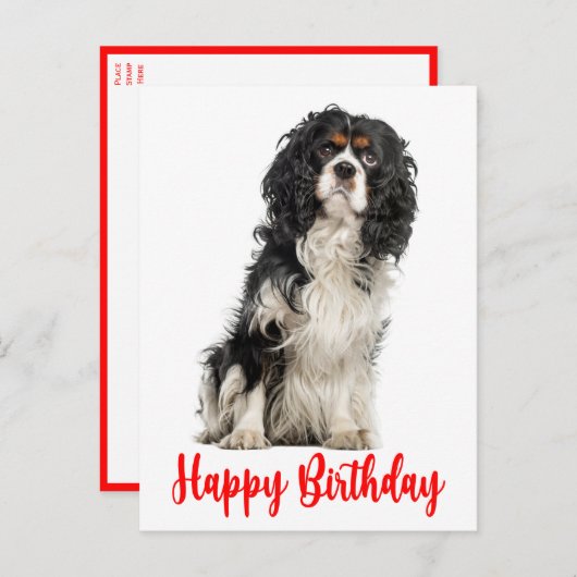 Niedlich Dog Cavalier King Charles Spaniel Birthda Postkarte (Vorne/Hinten)