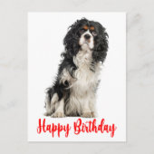 Niedlich Dog Cavalier King Charles Spaniel Birthda Postkarte (Vorderseite)