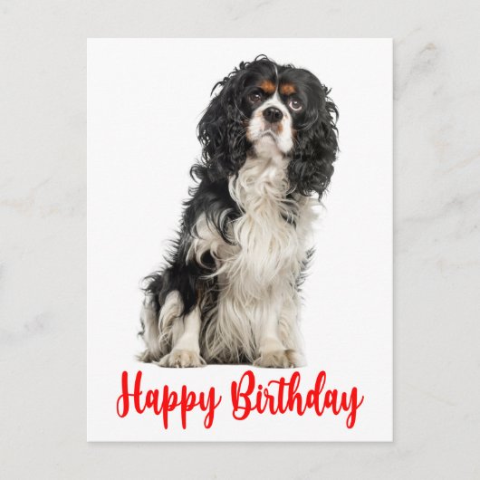 Niedlich Dog Cavalier King Charles Spaniel Birthda Postkarte (Vorderseite)