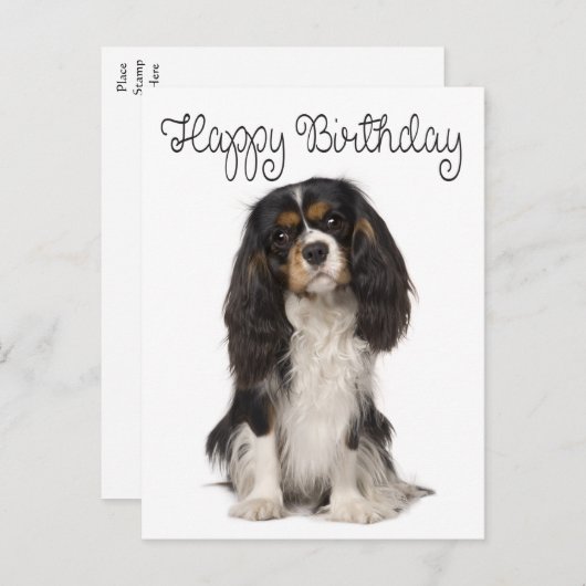Niedlich Dog Cavalier King Charles Spaniel Birthda Postkarte (Vorne/Hinten)