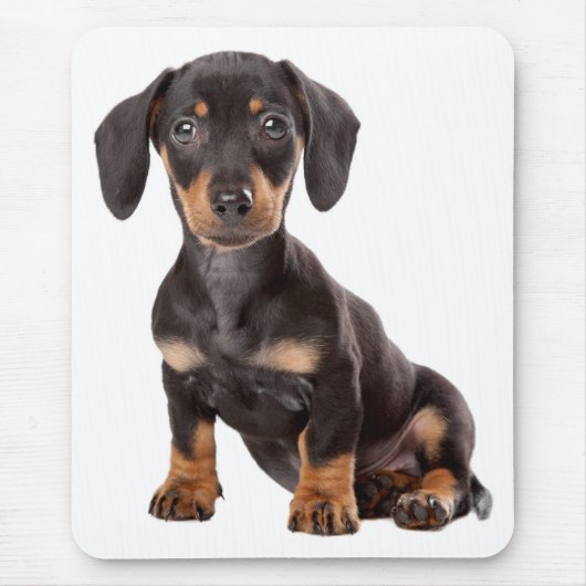 Niedlich Doxin Welpe Dackel Liebe Hunde Mama Dacke Mousepad (Vorne)